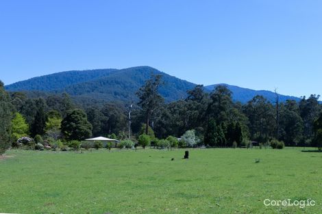 Property photo of 55 Big Pats Creek Road East Warburton VIC 3799
