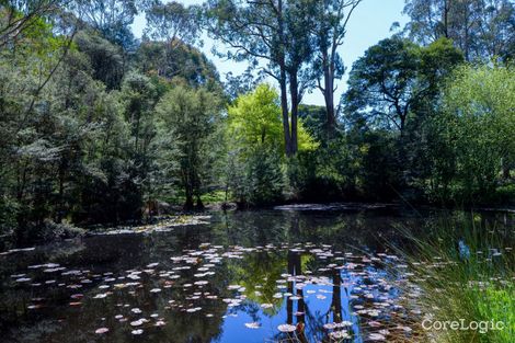 Property photo of 55 Big Pats Creek Road East Warburton VIC 3799