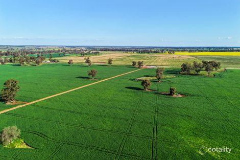 26r Godwins Lane, Mogriguy, NSW 2830