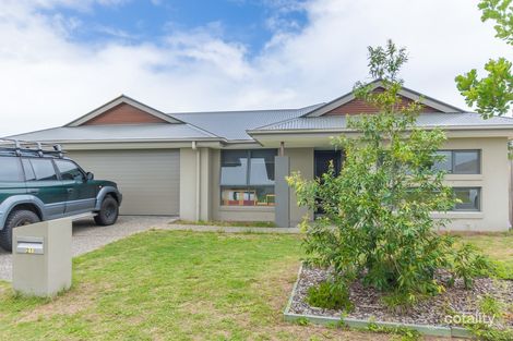 Property photo of 21 Grice Crescent Ningi QLD 4511