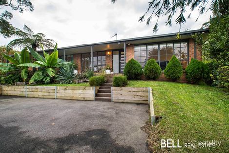 Property photo of 53 Martin Street Belgrave VIC 3160