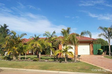 Property photo of 11 Parakeet Court Wurtulla QLD 4575