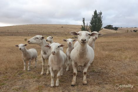 Property photo of 411 James Track Inman Valley SA 5211