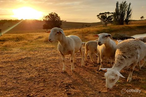 Property photo of 411 James Track Inman Valley SA 5211