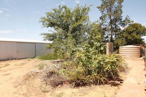 Property photo of 45 Wodonga Avenue Loxton SA 5333
