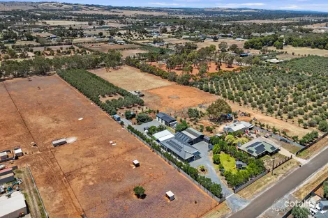 Property photo of 86 Griffiths Road Kudla SA 5115