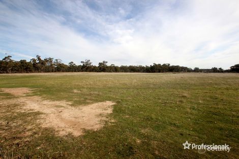 Property photo of 1145 St Arnaud-Dunolly Road Bealiba VIC 3475