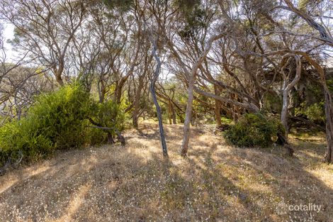 Property photo of 89 Pasadena Street Rye VIC 3941