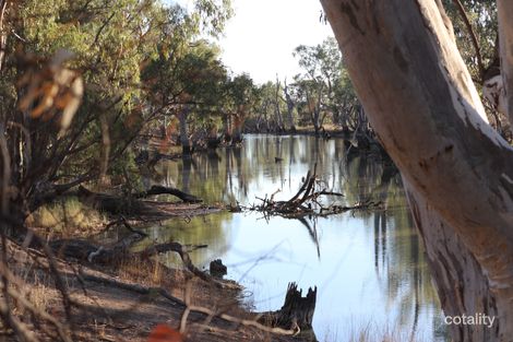 1846 Back Morundah Rd, Corobimilla, NSW 2700