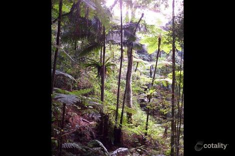 Property photo of 44 Alex Road Mount Glorious QLD 4520