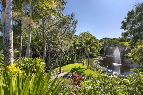 Property photo of 58 Panorama Drive Eumundi QLD 4562