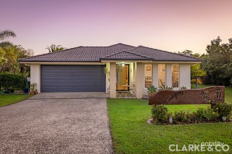 Property photo of 71 Wattle Avenue Beerburrum QLD 4517
