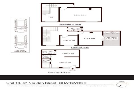 19/47 Neridah St, Chatswood, NSW 2067