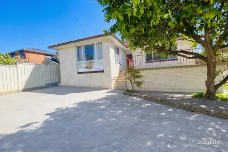 Property photo of 49A Hemphill Avenue Mount Pritchard NSW 2170