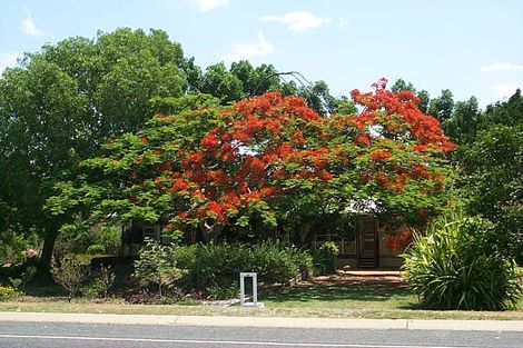 Property photo of 158 Scenic Highway Lammermoor QLD 4703