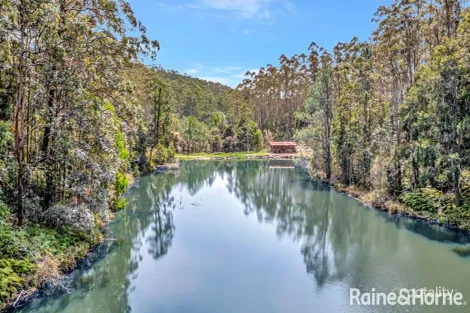 2984 Kyogle Rd, Kunghur, NSW 2484