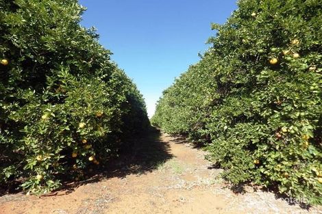 983 Ral Ral Ave, Cooltong, SA 5341