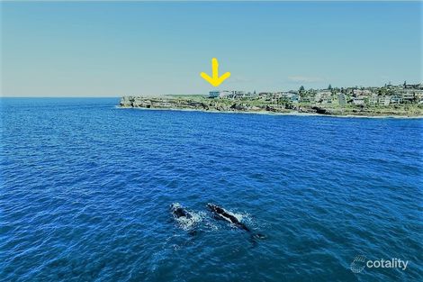 Property photo of 12/44 Marine Parade Maroubra NSW 2035