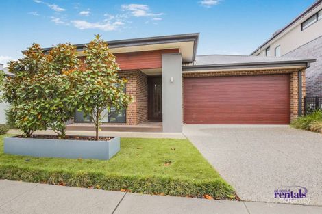16 Atherton Ave, Officer South, VIC 3809