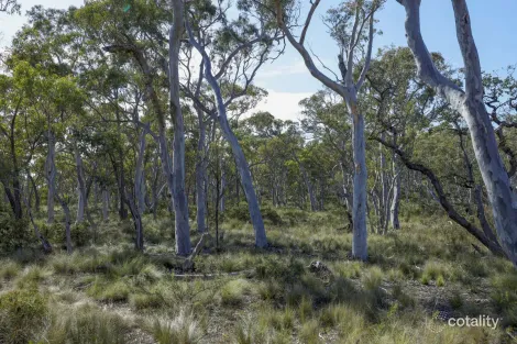 Property photo of 494 Jerralong Road Oallen NSW 2622