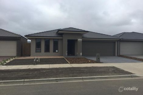 Property photo of 38 Jacana Way Armstrong Creek VIC 3217