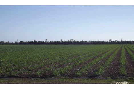 397 Eardleys Rd, Welcome Creek, QLD 4670