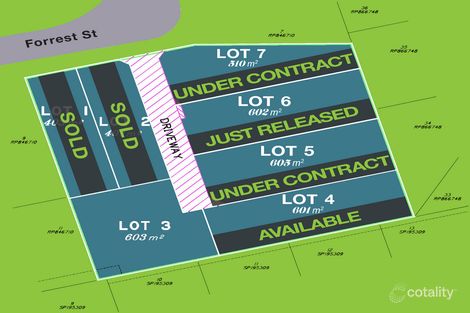 Property photo of 1 Forrest Street Nudgee QLD 4014