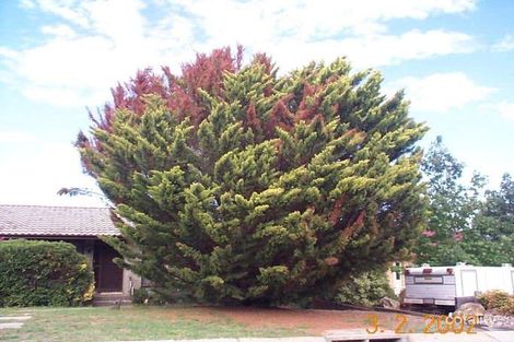 Property photo of 48 Herschell Circuit Flynn ACT 2615