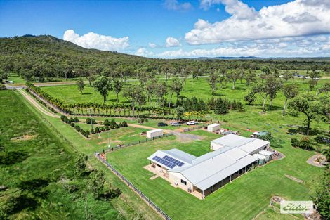 111 Preston Rd, Adelaide Park, QLD 4703