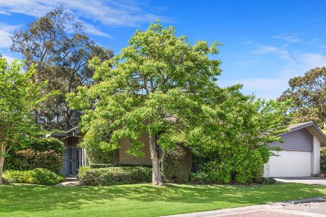 Property photo of 53 Leura Crescent North Turramurra NSW 2074