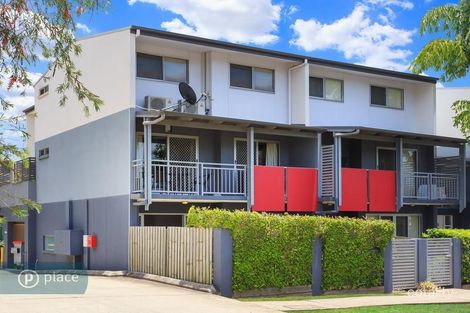 Property photo of 1/97 Primrose Street Sherwood QLD 4075