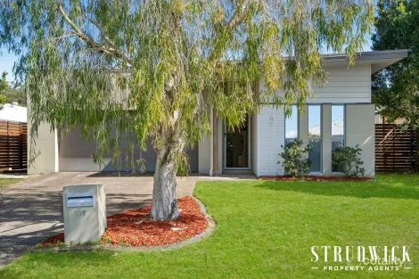 Property photo of 109 Sugargum Avenue Mount Cotton QLD 4165