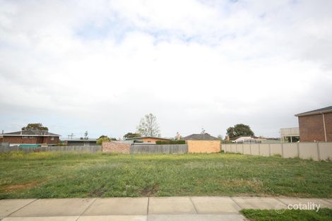 7 White Gum Dr, Hamlyn Heights, VIC 3215