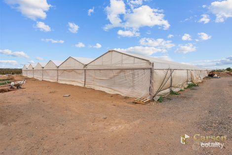 Property photo of 195 Ryan Road Waterloo Corner SA 5110