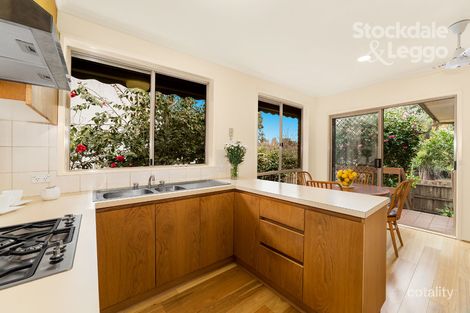 Property photo of 2/47 Amber Grove Mount Waverley VIC 3149