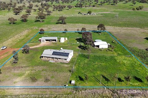 8849 Golden Hwy, Cassilis, NSW 2329