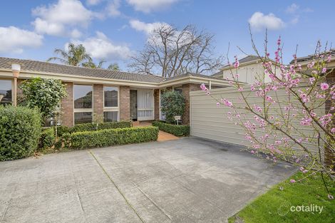 6/67 William St, Brighton, VIC 3186