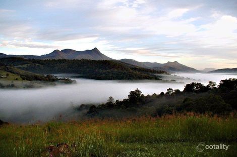 2842 Kyogle Rd, Kunghur, NSW 2484