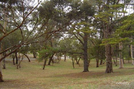 Property photo of 7 Kings Avenue Burnside SA 5066