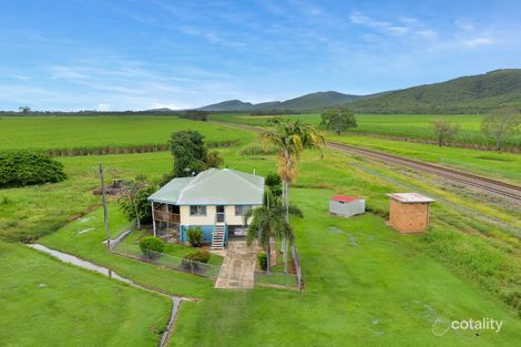 Property photo of 17 Quality Street Carmila QLD 4739