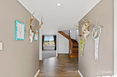 Property photo of 1 Sullivan Crescent Pittsworth QLD 4356