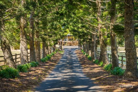 Property photo of LOT 1/123 Lanes Road Wongawallan QLD 4210