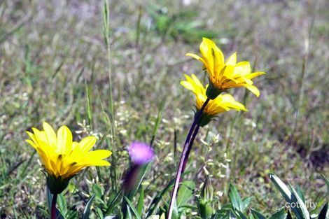 2a Shellharbour Rd, Primbee, NSW 2502