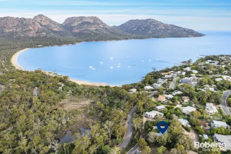Property photo of 91 Freycinet Drive Coles Bay TAS 7215