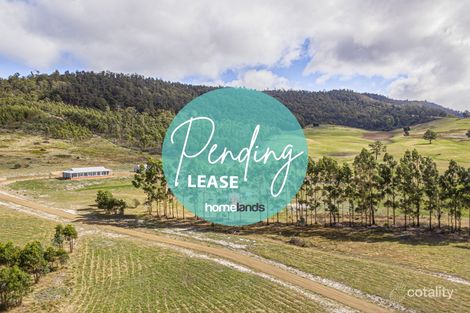 Property photo of 877 Lonnavale Road Lonnavale TAS 7109