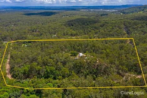 Property photo of 42 Ponderosa Avenue Buccan QLD 4207