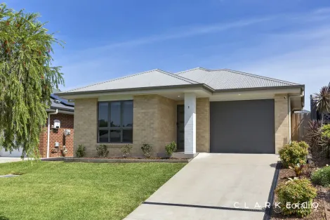 1/44 Dunnart St, Aberglasslyn, NSW 2320