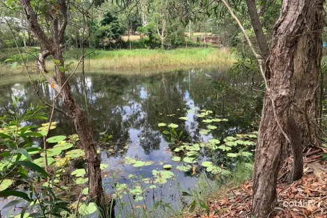 Property photo of 21-29 Leach Road Tamborine QLD 4270