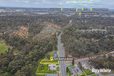 Property photo of 109 Averys Road Jackass Flat VIC 3556