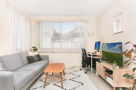 6/8 Curt St, Ashfield, NSW 2131